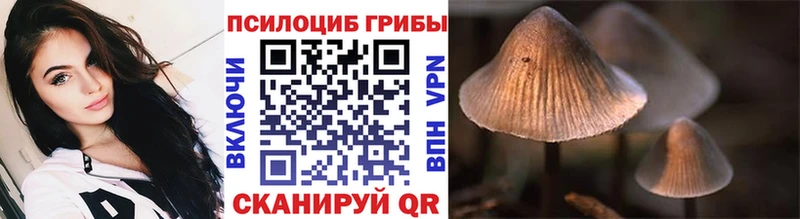 Галлюциногенные грибы MAGIC MUSHROOMS  Туапсе 